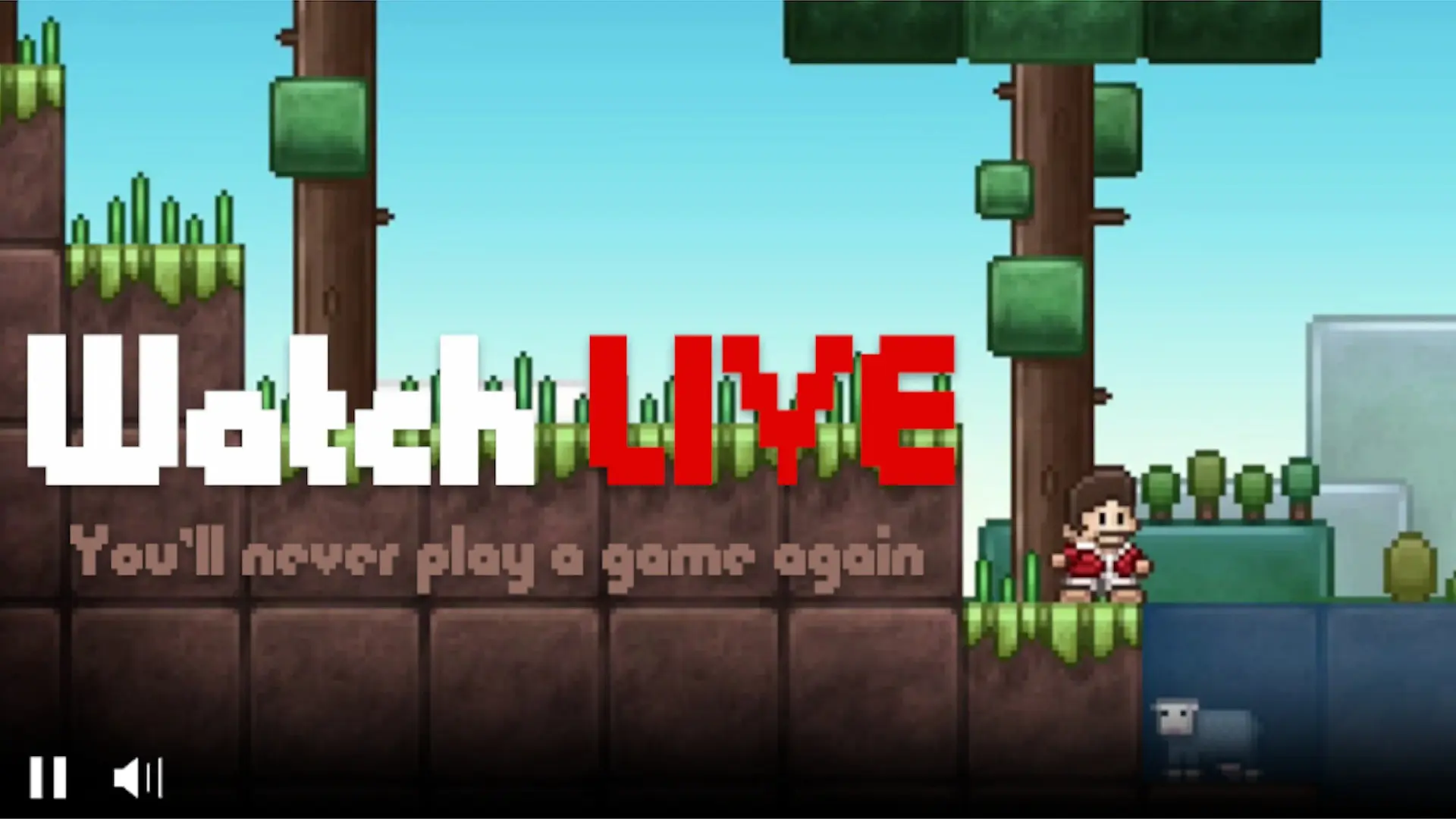Live Streaming Returns